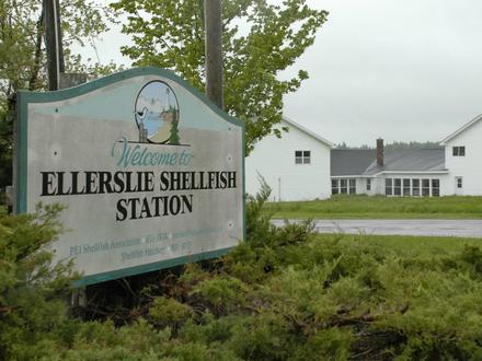 Image de Ellerslie Image de Ellerslie