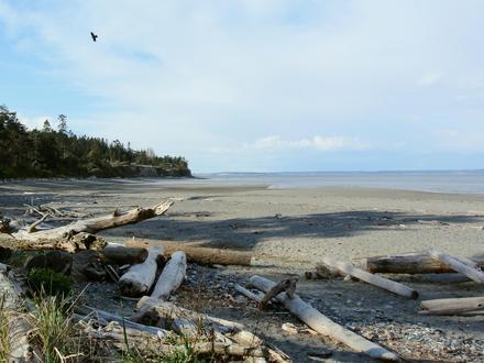 Image of Marrowstone, Washington