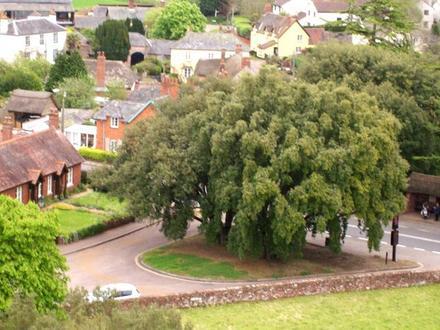 Image of Broadclyst Image of Broadclyst