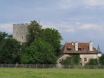 Imagen de Barberêche