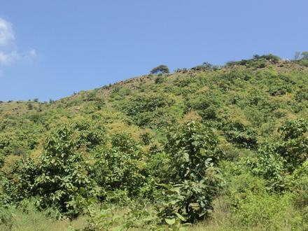 Lonar Image