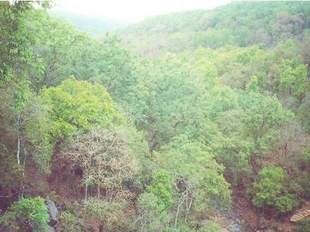 Immagine Amarkantak