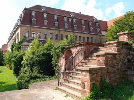 Bild von Wechselburg Bild von Wechselburg