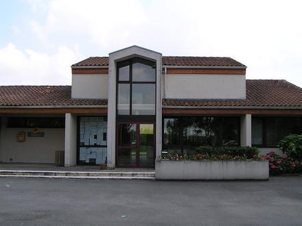 Immagine Merpins Immagine Merpins