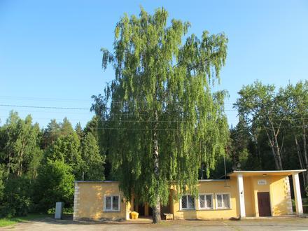 Asukoha Oru linnaosa pilt Asukoha Oru linnaosa pilt