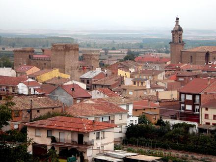 Imagen de Agoncillo