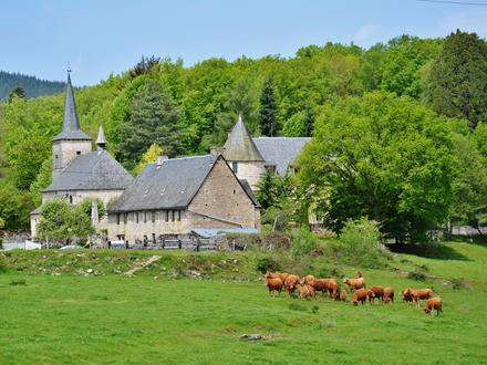 Immagine Davignac Immagine Davignac