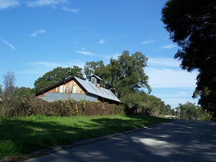 Bild von DeLeon Springs