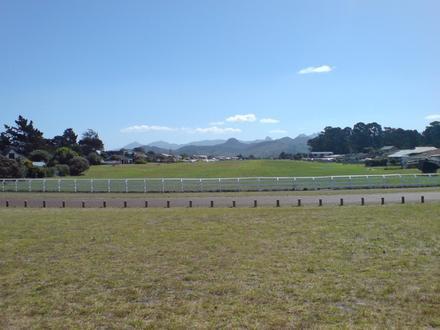 Bild von Pauanui