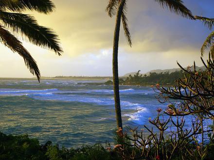 Imagen de Wailua
