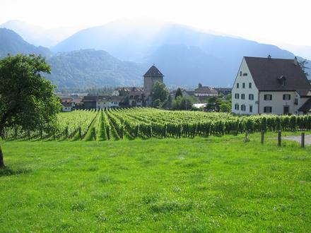 Immagine Maienfeld Immagine Maienfeld