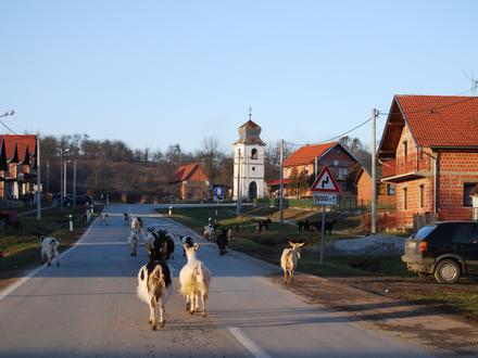 Slika Čeralije Slika Čeralije