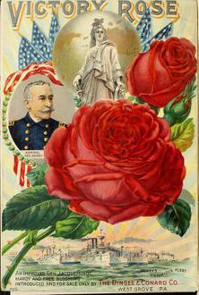 Imagen de West Grove