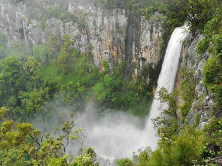 Image of Springbrook, Queensland