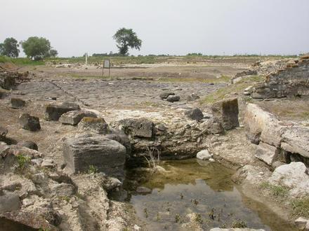 Bild von Sybaris