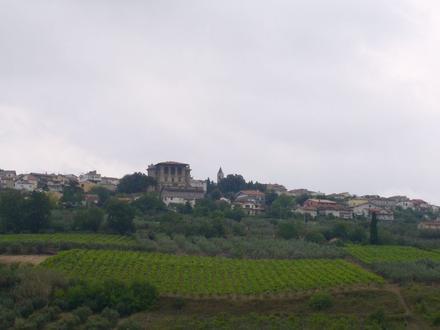 Immagine Mozzagrogna Immagine Mozzagrogna