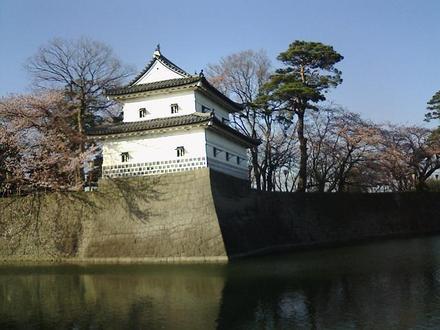 Immagine Shibata Immagine Shibata