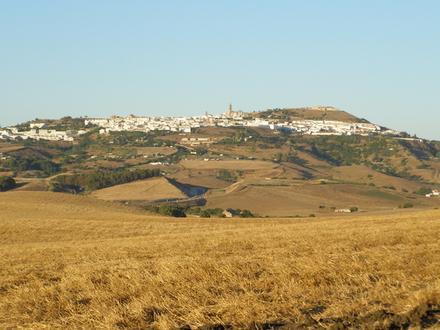 Afbeelding van Medina-Sidonia Afbeelding van Medina-Sidonia