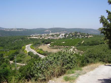 Image of Shomera Image of Shomera