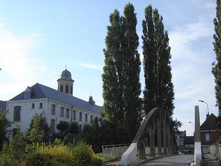 Bild von Drongen Bild von Drongen