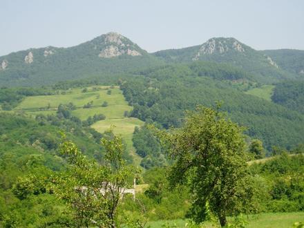 Image of Kozara Image of Kozara