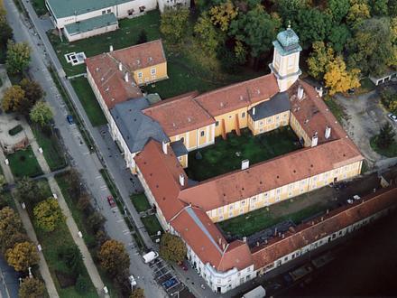 Slika Csorna