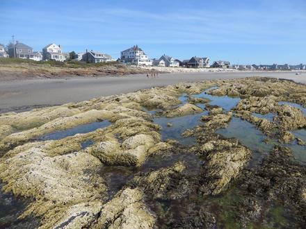 Image of Higgins Beach Image of Higgins Beach