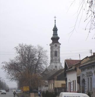 Slika Šajkaš Slika Šajkaš