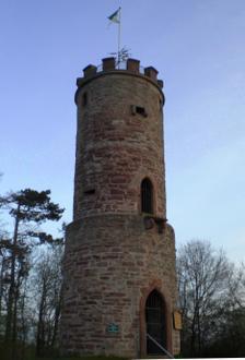 Image of Buchen Image of Buchen