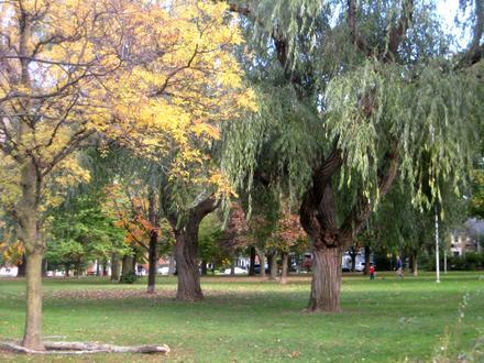 Image of Wanless Park Image of Wanless Park