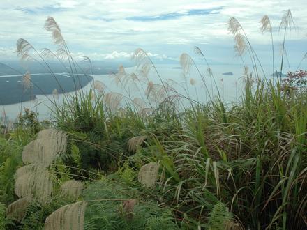 山都望山的圖像 山都望山的圖像