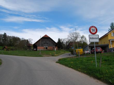 Immagine Wallenried Immagine Wallenried