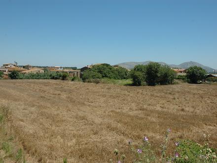Immagine Serra de Daró