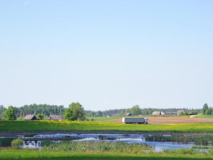 Image of Laanemetsa Image of Laanemetsa