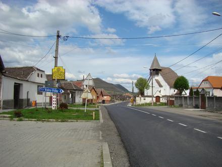 Kiskapus képe
