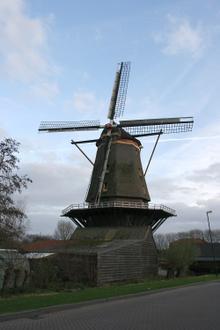 Image of Arkel Image of Arkel