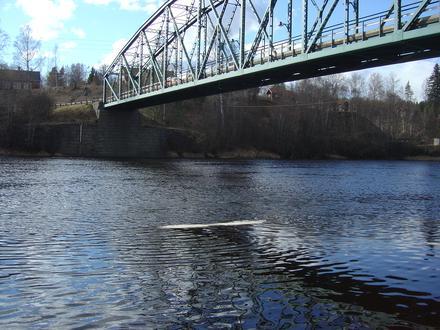 Bild von Munkfors